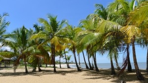 Plage de Kourou en Guyane