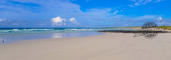 galapagos plage tortuga bay