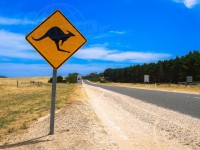 Travel Photography - Australia Great Ocean Road 0/0 | axetrip.com