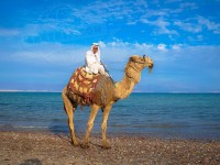 Travel Photography - Egypt Taba 0/0 | axetrip.com