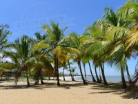 Travel Photography - France, Metropolitan Guyane 0/0 | axetrip.com