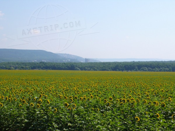 axetrip.com