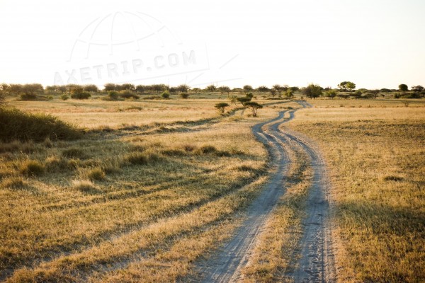 axetrip.com