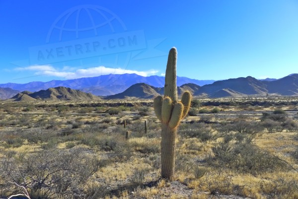 axetrip.com