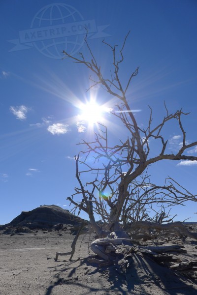 Argentina Ischigualasto  | axetrip.com