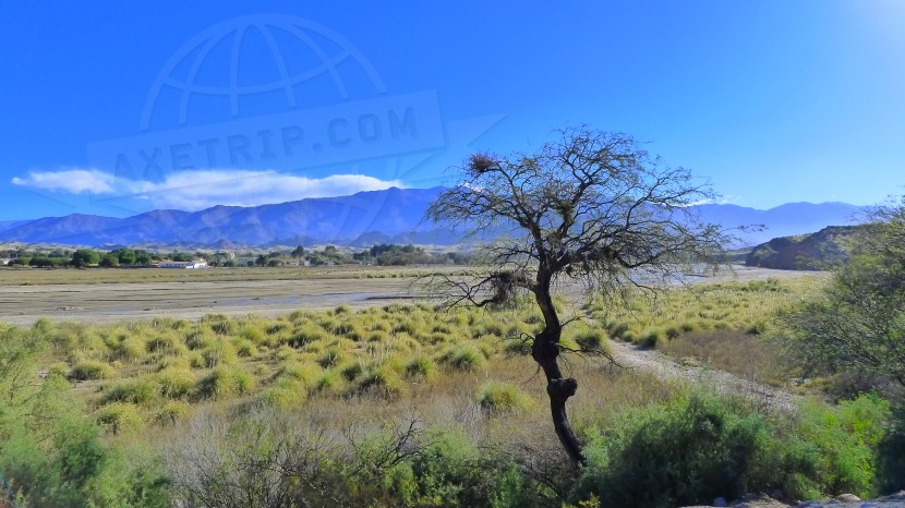 Argentina Cafayate  | axetrip.com