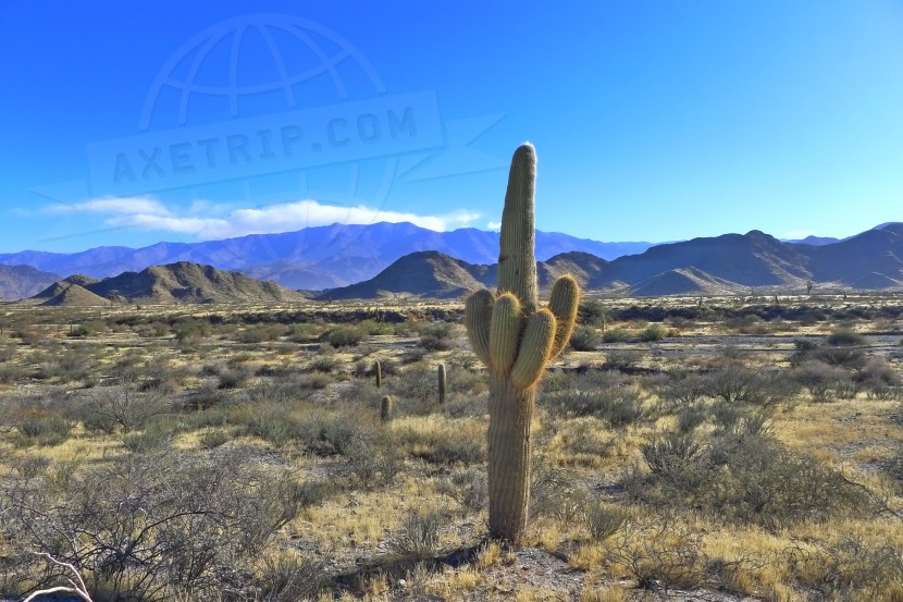 Argentina Cafayate  | axetrip.com