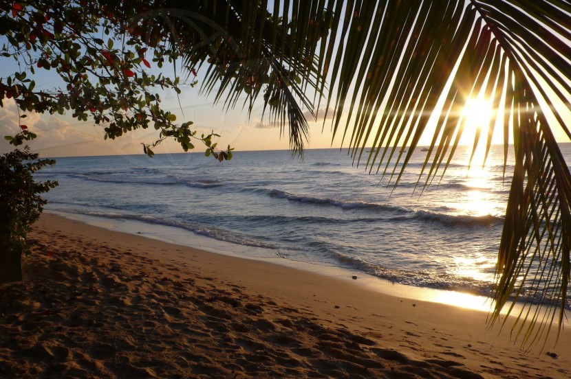 Barbados Barbade  | axetrip.com