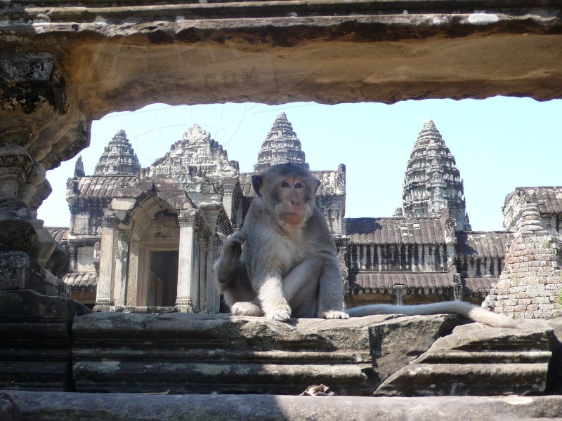 Cambodia Angkor Wat  | axetrip.com