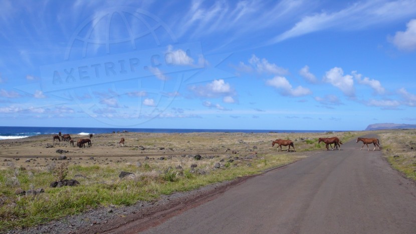 Chile Rapa Nui  | axetrip.com