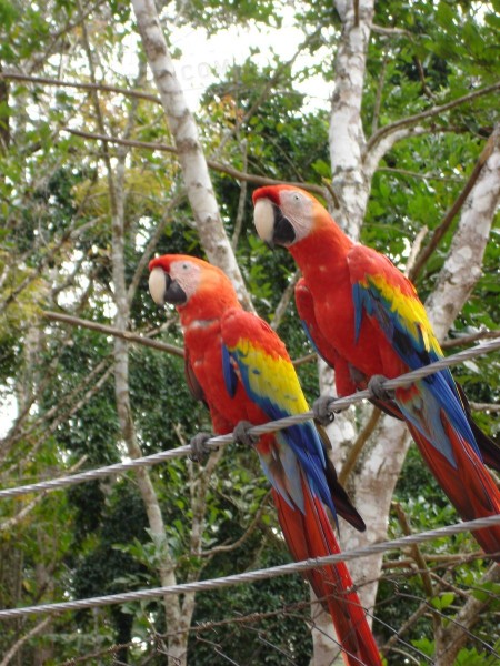 Honduras  | axetrip.com