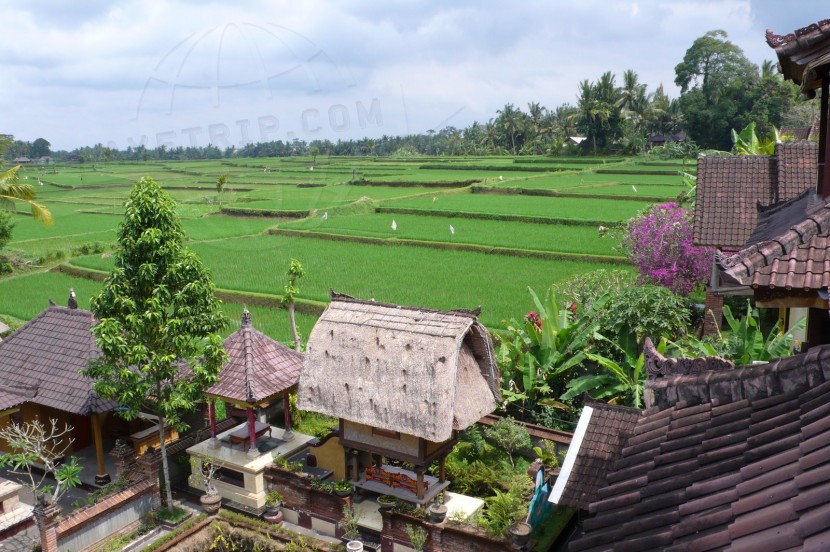 Indonesia Bali  | axetrip.com