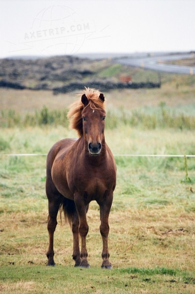 Iceland  | axetrip.com