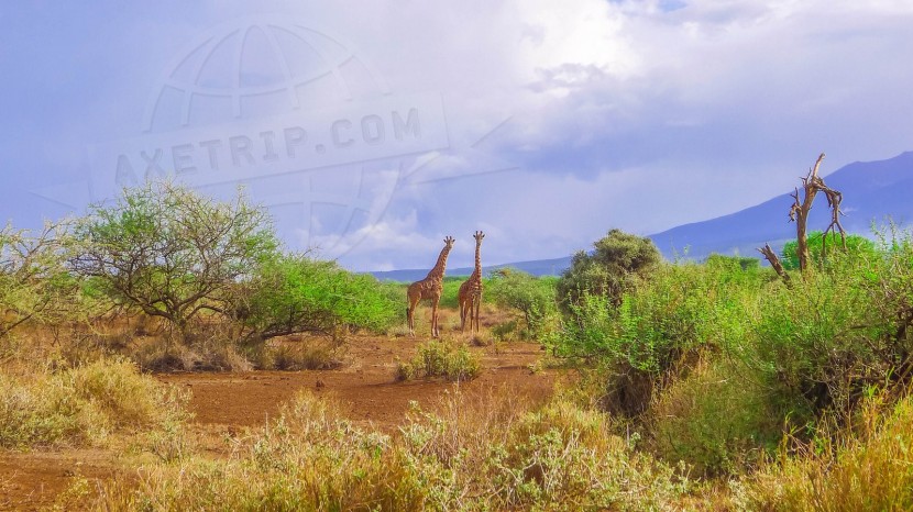 Kenya Kenya Moto Tour  | axetrip.com