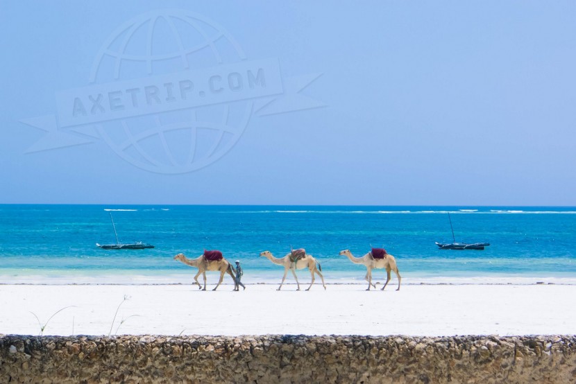 Kenya Mombasa  | axetrip.com