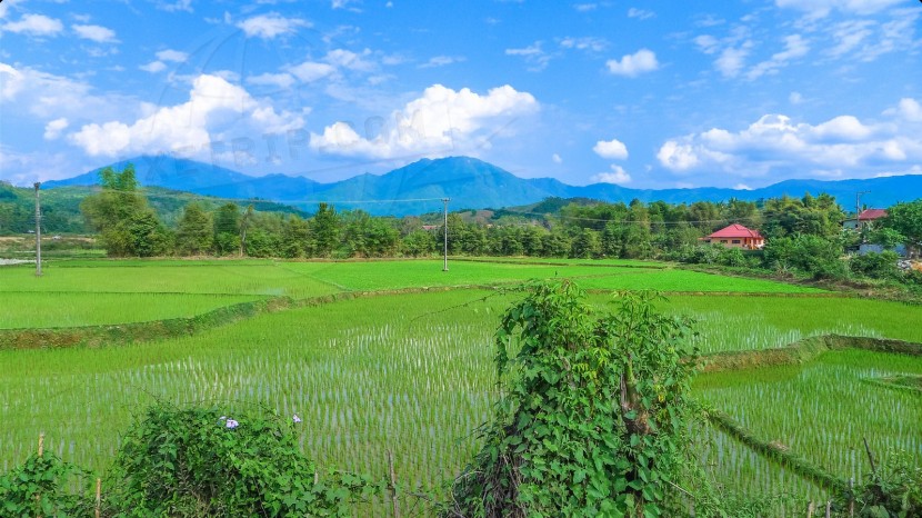 Lao People's Democratic Republic Vientiane  | axetrip.com