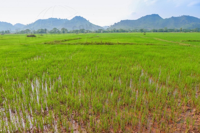 Lao People's Democratic Republic Vientiane  | axetrip.com