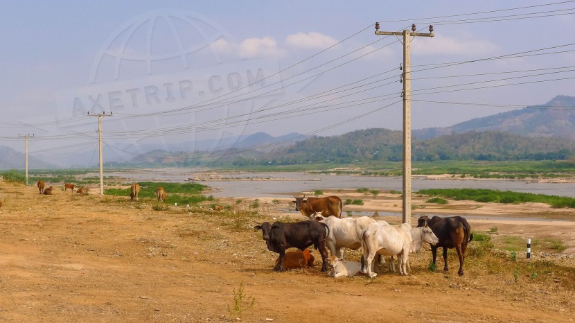 Lao People's Democratic Republic Vientiane  | axetrip.com