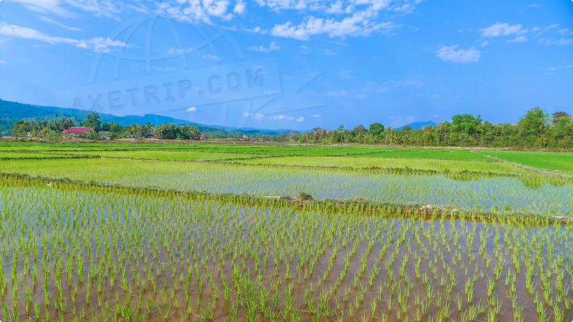 Lao People's Democratic Republic Vientiane  | axetrip.com