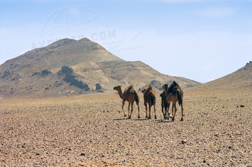 Morocco Merzouga  | axetrip.com