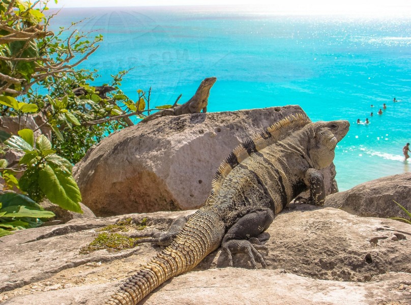 Mexico Tulum  | axetrip.com