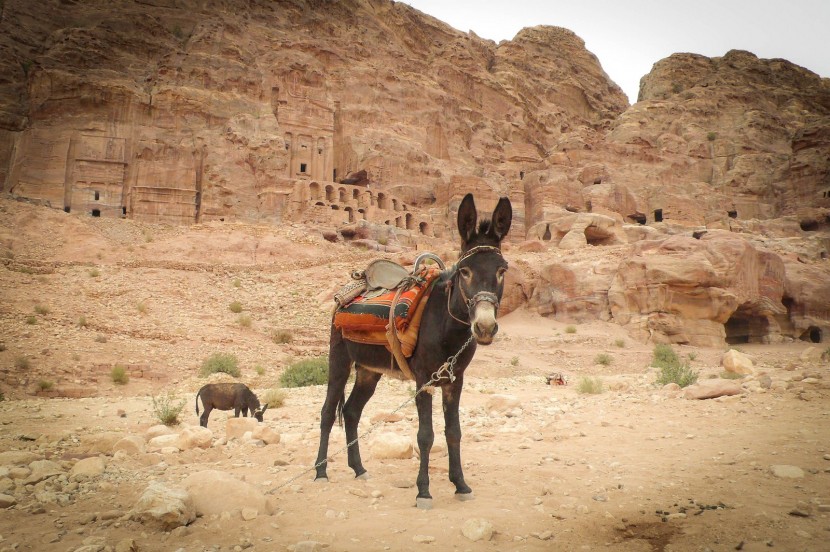 Jordan Petra  | axetrip.com