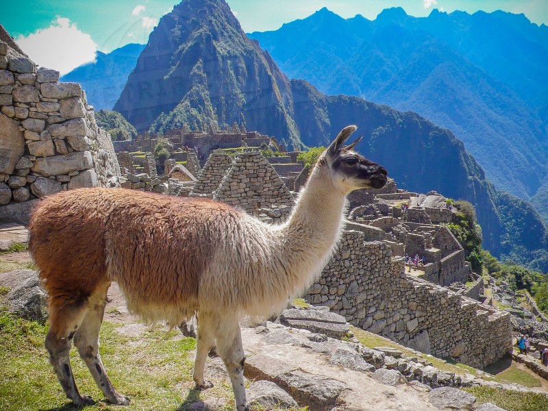 Peru Machu Picchu  | axetrip.com