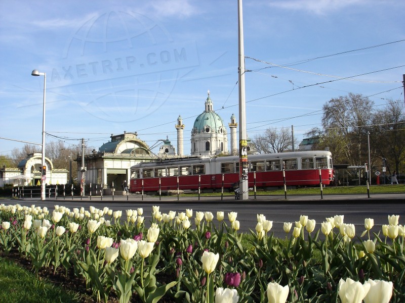 Austria Wien  | axetrip.com