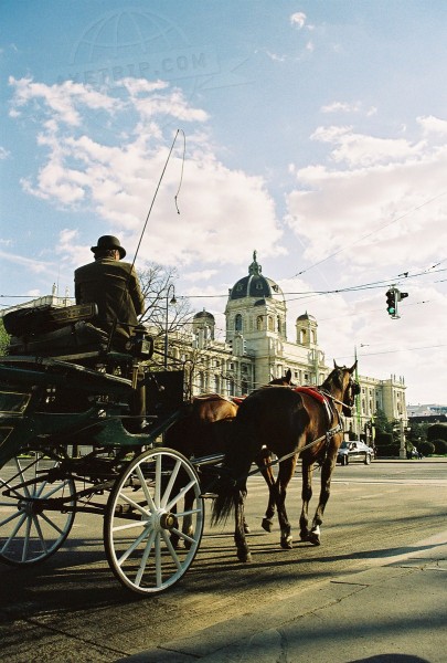 Austria Wien  | axetrip.com