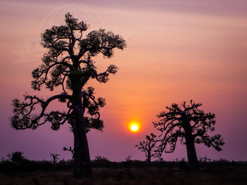 Senegal Dakar  | axetrip.com