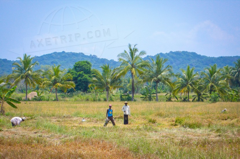 Sri Lanka Sri Lanka - Colombo  | axetrip.com