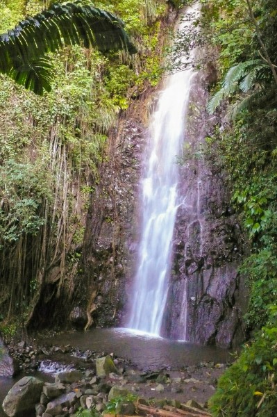 Saint Vincent and the Grenadines Kingstown  | axetrip.com