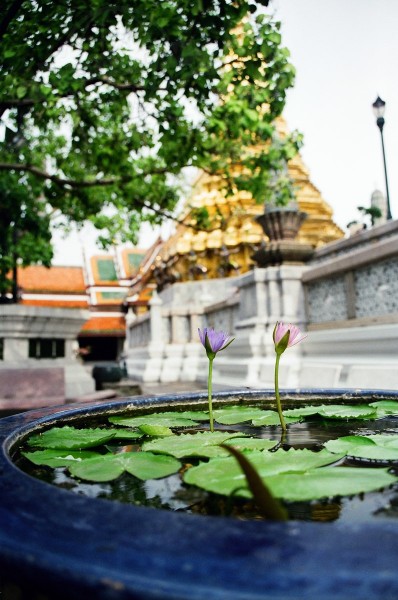 Thailand Bangkok  | axetrip.com