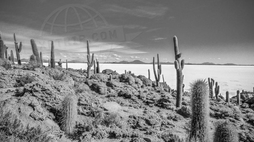 Bolivia Salar Uyuni  | axetrip.com