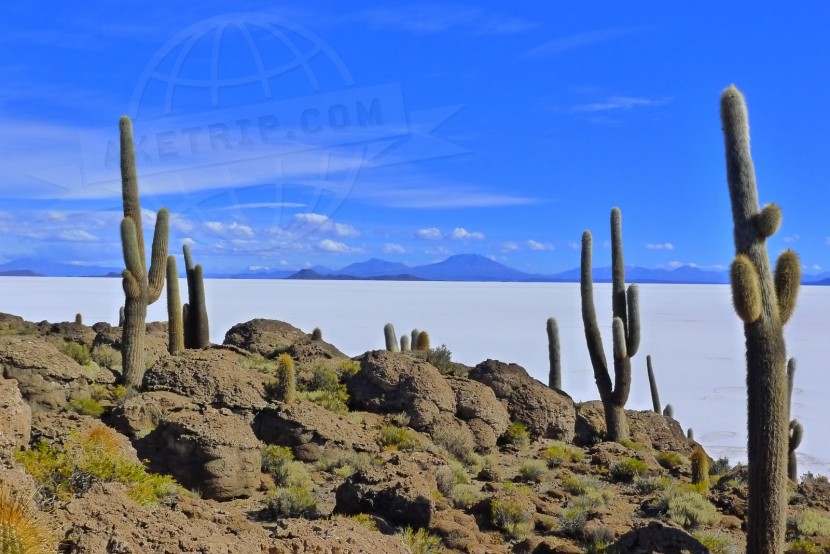 Bolivia Salar Uyuni  | axetrip.com