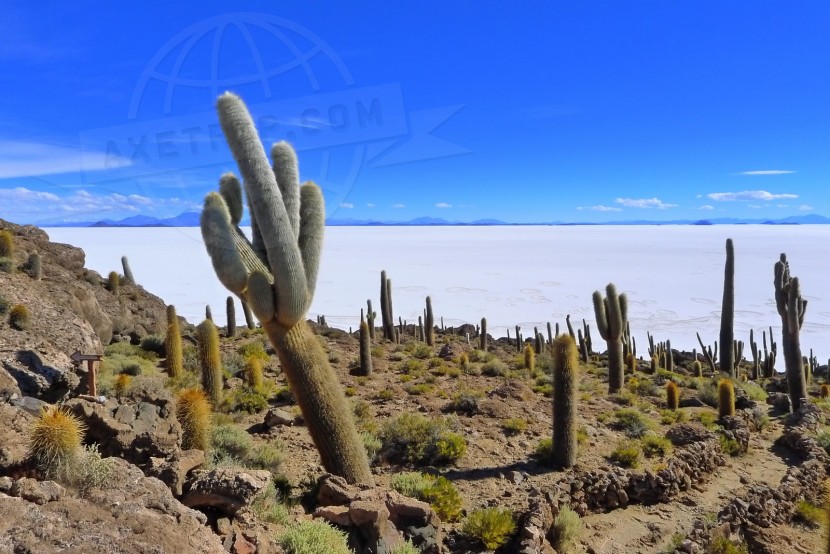 Bolivia Salar Uyuni  | axetrip.com