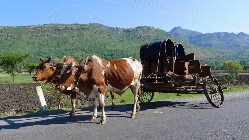 Ethiopia  | axetrip.com