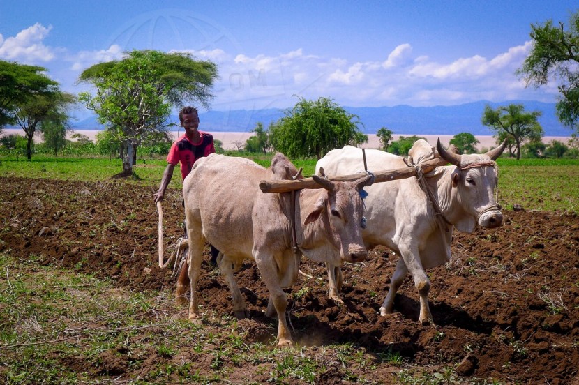 Ethiopia  | axetrip.com