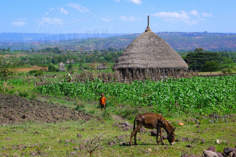 Ethiopia  | axetrip.com