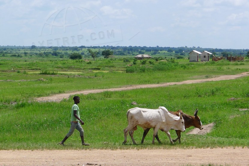 Tanzania, United Republic of Tanzania  | axetrip.com