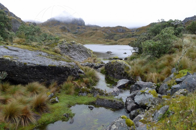 Ecuador Cuenca  | axetrip.com