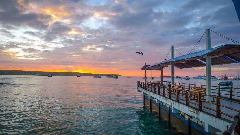 Ecuador Galapagos  | axetrip.com