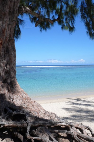 France La Réunion  | axetrip.com