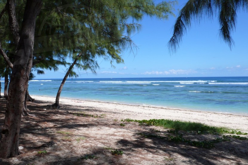 France La Réunion  | axetrip.com