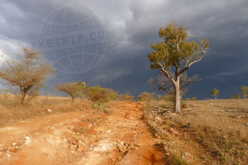 Madagascar Morondava & Baobabs  | axetrip.com