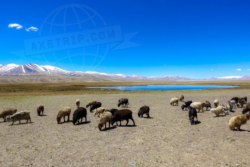 Tajikistan Tadjikistan  | axetrip.com