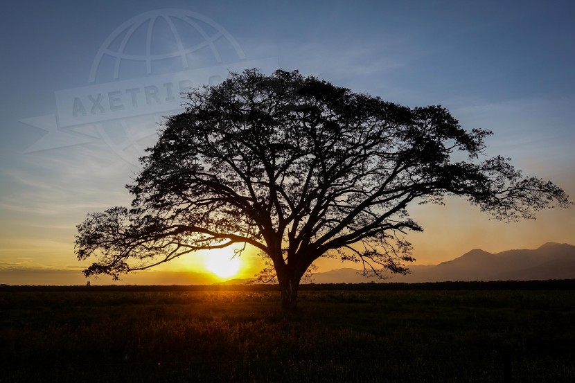 Papua New Guinea Madang  | axetrip.com