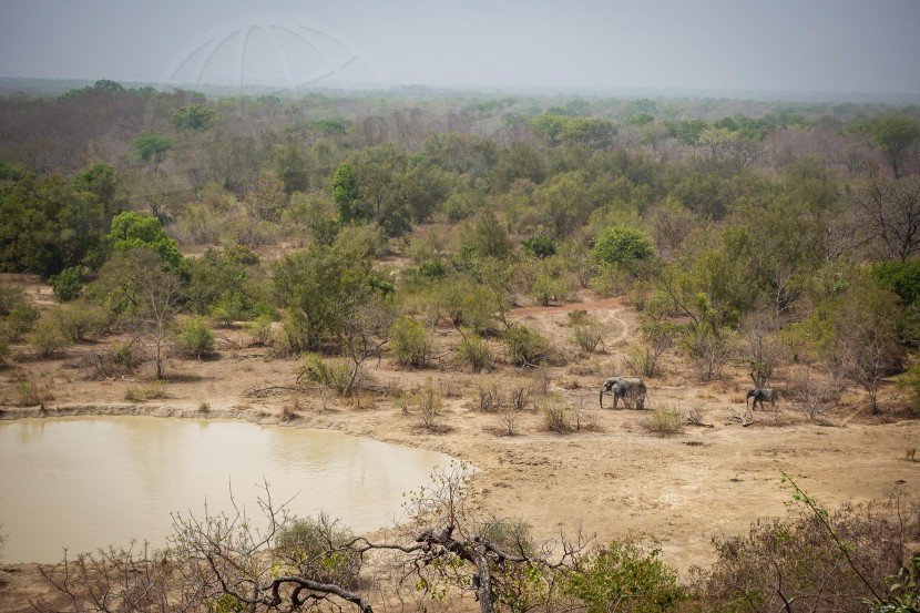 Ghana Mole National Park  | axetrip.com