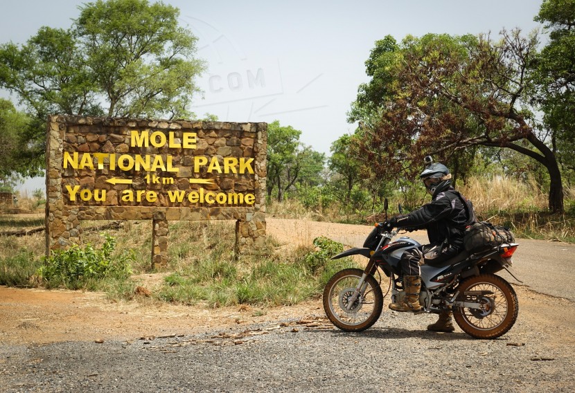 Ghana Mole National Park  | axetrip.com
