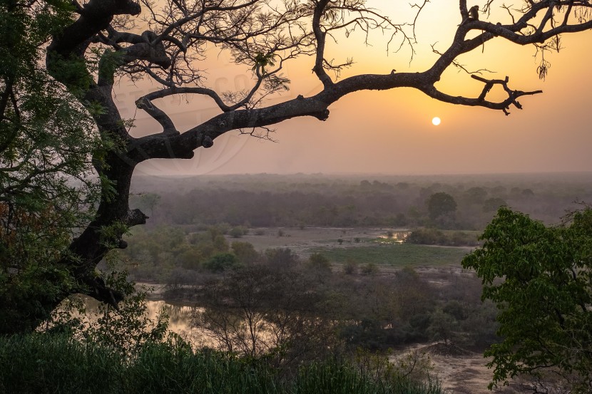 Ghana Mole National Park  | axetrip.com